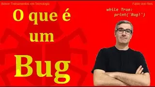 O que é um Bug em software e o processo de debugging