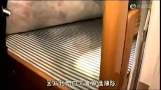 2012 7 13 東張西望 木蝨來自何方