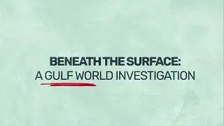 BENEATH THE SURFACE: A Gulf World Investigation