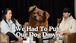 I Had To Put My Dog Down - Remembering Biggie