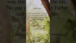 Jesus Is The Way | John 14:6 | Bible Verse #inspiration #jesus #shorts