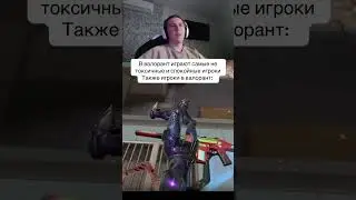 THE MOST CALM AND NON-TOXIC PLAYERS 🤡 #recommendations #valorant #valorant #joke #meme #stream