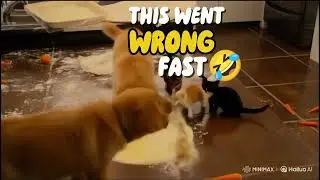 Two Puppies & Four Kittens = Kitchen Chaos 😂🍳 | SUBSCRIBE 🐾 