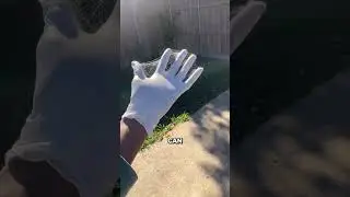 Этот парень создал настоящий костюм Человека-паука 🕸️