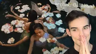 no na - Lullabies (In a Midsummers Dream / You & I Were One / Blooming / Like An Orchid) - REACTION!