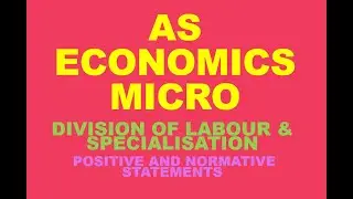 UNIT 1 DIVISION OF LABOUR, SPECIALISATION, POSITIVE & NORMATIVE STATEMENTS