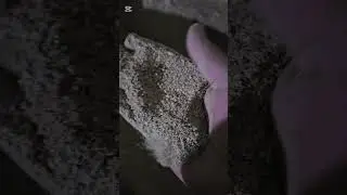 17 января 2026 г.
