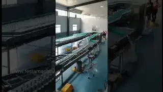 Water Bottling Line, Bottle Conveyor System #waterbottlingline #bottleconveyor