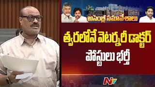 Minister Atcham Naidu Says That Veterinary Doctor Posts to be Filled Soon | NTV Telugu