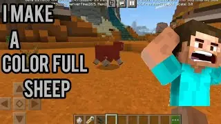 How To make Color Full Sheep