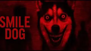 The Image That Made People INSANE - Smile Dog