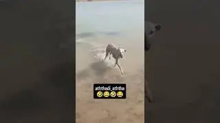 😂😂😂fun 😱😱😱#comedy#tamilcomedy #entertainment#tamil#troll#prank#anyone