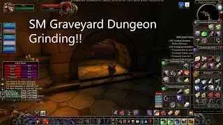 WoW Classic SM Graveyard Mulitbox Dungeon grinding with XP Calc