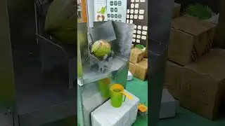 Semi Automatic Young Coconut Cutting Machine #cocoman #mesinpemotongkelapa