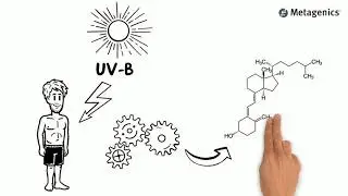 Vitamin D an Essential Nutrient Ideal for Optimal Health