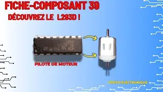 Décrypter le L293D : guide complet et amusant pour piloter vos moteurs !