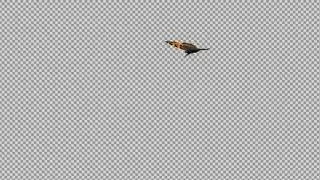 Flying Butterfly - Eurasian Tortoise Shell