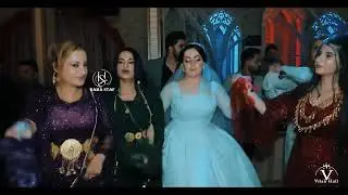 xoshtren gorani hallparky