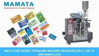Multilane Sachet Packaging Machine | Premade Pouch Filling Machine Manufacturer & Exporter | Mamata