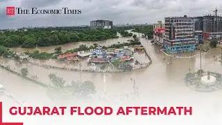 Gujarat Flood aftermath: Washed-out bridge, overflowing dam, and crocodile on campus