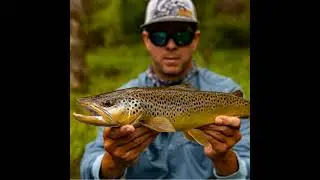 Fall Colors & Fine Tactics: Fly Fishing Wild Brown Trout on The Smith River, VA