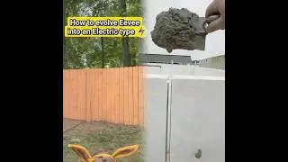 How to evolve Eevee into an Electric type