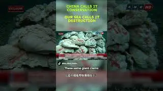 #westphilippinesea #brpsierramadre #defendsovereignty #philippines #seethepattern #wps #sovereignty