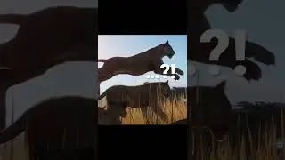 Interesting animal behavior&hellip; #lion #animal #planetzoo #naturedocumentary #zoo #pzn #planetzoogame