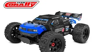 Team Corally Punisher 4