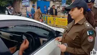 traffic Warden song December 4, 2025