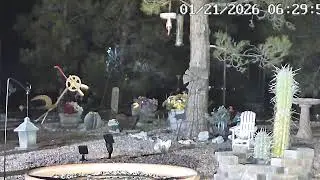 MOJAVE DESERT:LIVE:) LOTS OF BIRDS AND SQUIRRELS:) NATURE SHOW #mojavedesert#nature#squirrels#birds