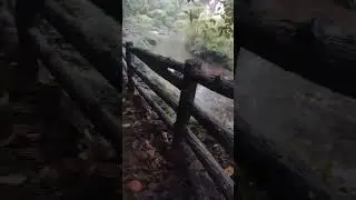 wah Niriang falls ka long kaja kaba itynnad iaki nong jngoh ky