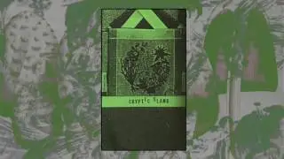 Stefan Christensen - Cryptic Slang