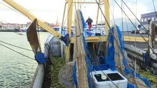 EU electric pulse fishing ban delivers blow to Dutch fishermen