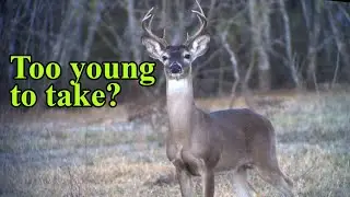 Deer hunting in Texas | 2020 Season