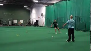 5 Color Cone Reaction Drill Front Facing