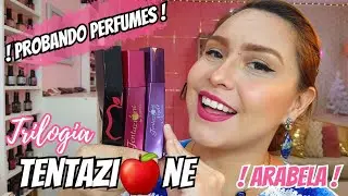 🍎Linea Tentazione,Nigth & Black ARABELA Perfumes Economicos de CATALOGO🥊Guerra de FLANKERS🥊|Eve Tips