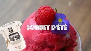 Recettes Companion  &mdash; Sorbet Express d&rsquo;&Eacute;t&eacute; rapide et rafra&icirc;chissant