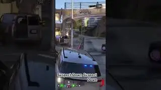 Suspects Shoot Officers with Flairs #gta #fivem #openserver #recruiting