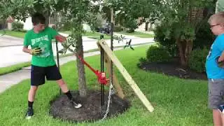 WhipperSnappers Pulling Tree Stakes