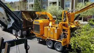 Huge Chipper Eats 3,000lb Tree in 1 minute 45 Seconds.