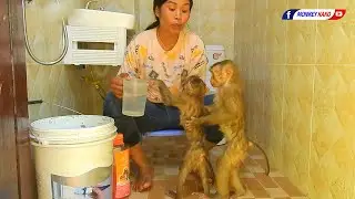 Funny Baby Monkey KAKO & LUNA Taking Bath Together