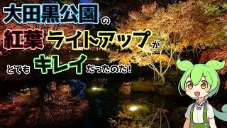 【ずんだもん】大田黒公園の紅葉ライトアップがとてもキレイだったのだ！〔25/11/29〕