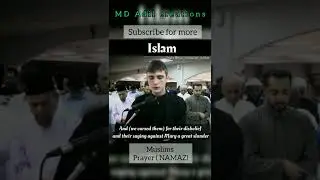 Quran | Torah | Bible | the holy books reaction #prophetmuhammad  #quran #bible #shorts #viral #like