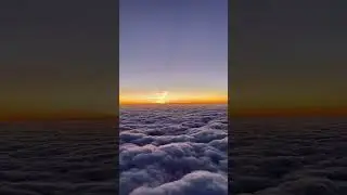 Best sunset video status | aesthetics sunset | Lofi aesthetics status #shorts #reels #vaporwave #fyp