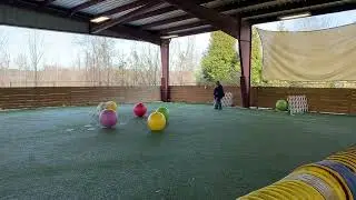 Tara Palaski and Maple Video 1 65 centimeter Intermediate BNO 2-22-25