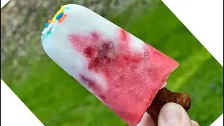 Doggy pupsicles @puppy pantry