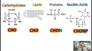 Elements of Life AP Biology Topic 1.2 (Updated 2025)