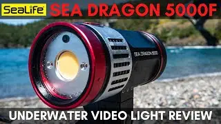 Sea Dragon 5000F Video Light Review // Top CRI Rating and Beam Angle of Any Video Light!