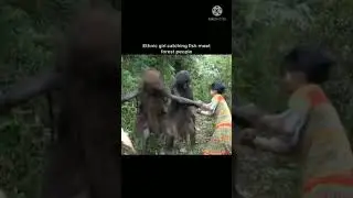 Primitive Life- forest people animal trapping skills of forest people